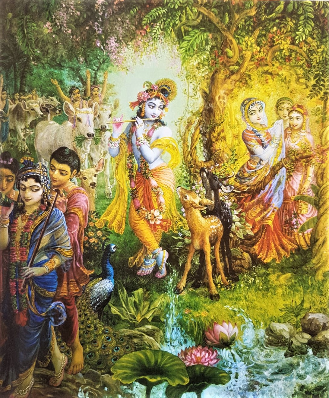 Venu gita